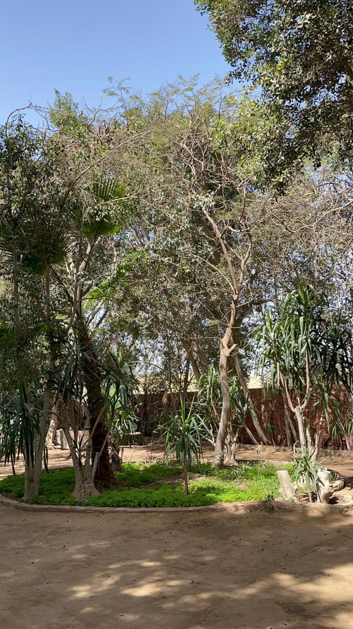 Villa By The Pyramids Cairo Ngoại thất bức ảnh
